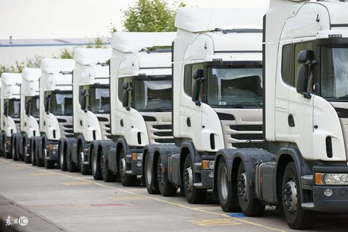 首批國產電動物流車運抵美國，技術優勢開啟國際化新征程